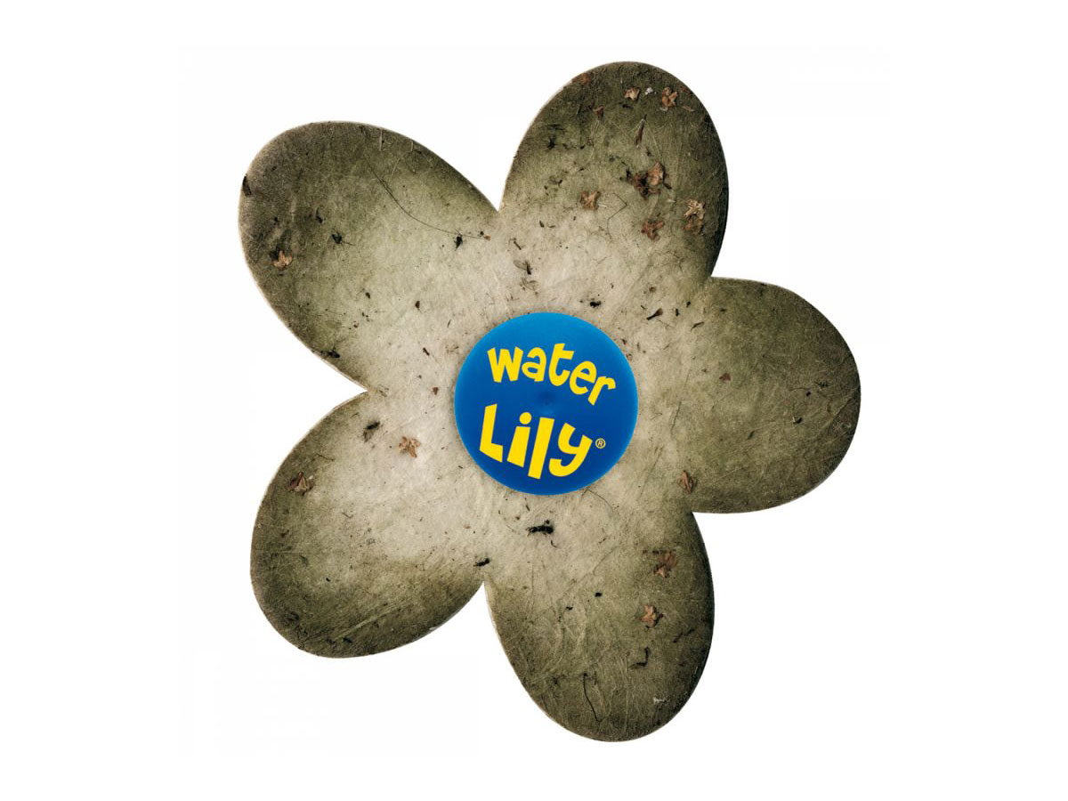 Lot de 6 fleurs absorbantes Water Lily - Toucan